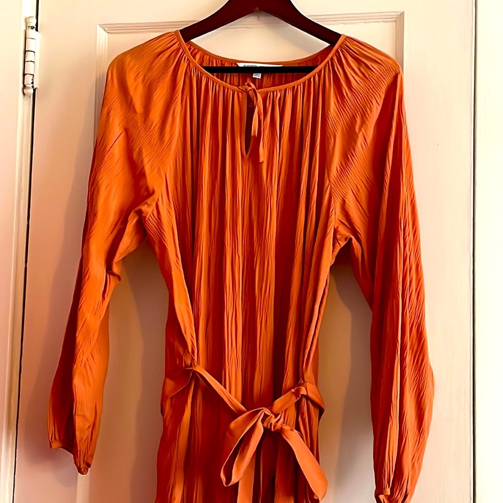 Long sleeved V-Neck Elizabeth And James Dress